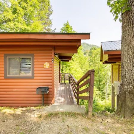 Lazy Bear Cabin Near Nantahala Outdoor Center And Bryson City Exterior photo