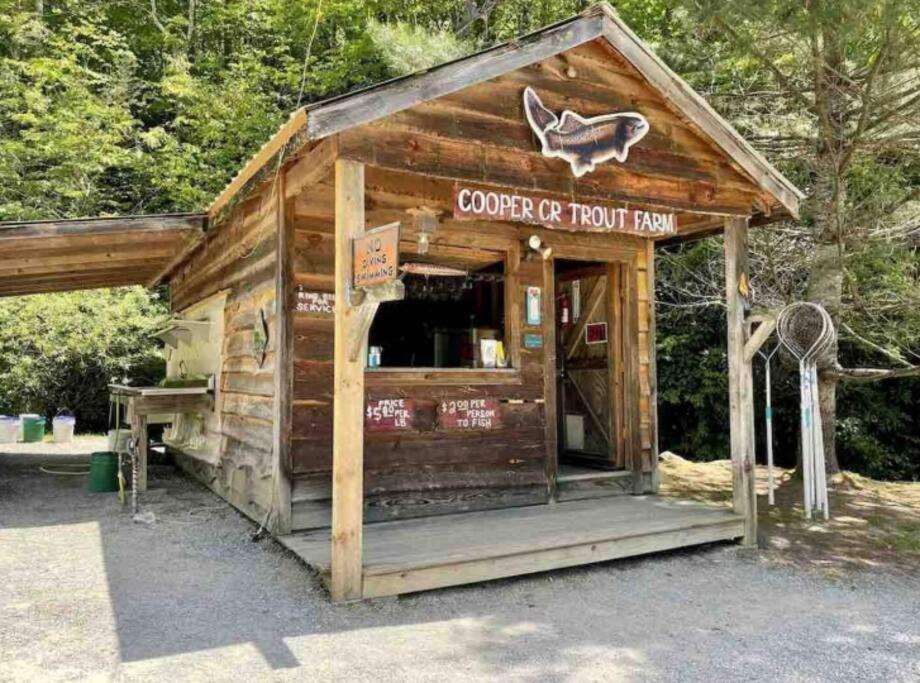 Lazy Bear Cabin Near Nantahala Outdoor Center And Bryson City Exterior photo